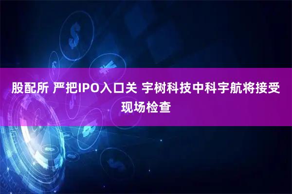 股配所 严把IPO入口关 宇树科技中科宇航将接受现场检查